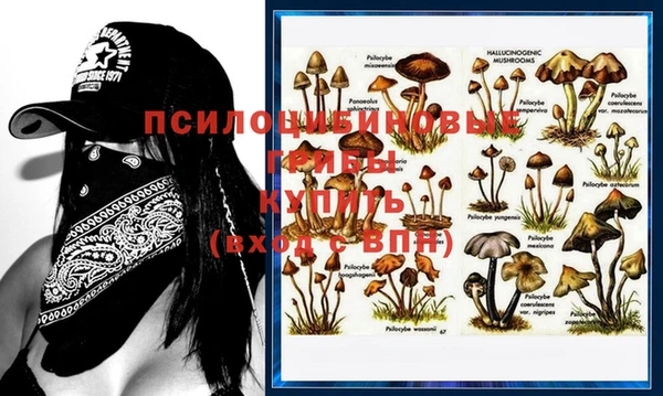 дживик Гатчина