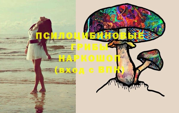 Альфа ПВП Покачи
