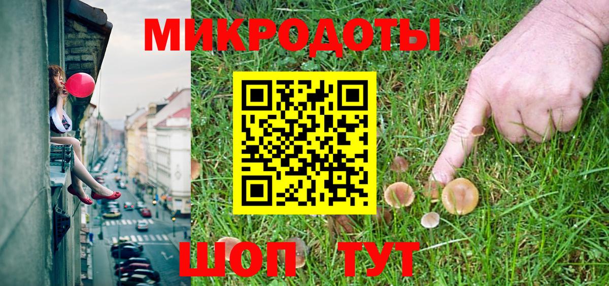 Галлюциногенные грибы Psilocybe Карталы